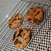 Chocolate chip cookies on a baking sheet ready for eat photo