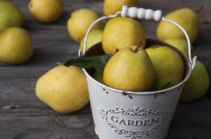 Fresh ripe yellow pears in metal white bucket photo