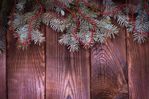 green spruce branch with Christmas decor photo