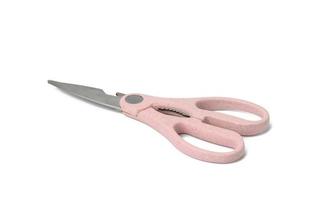 kitchen scissors with plastic handle and opener on white background photo