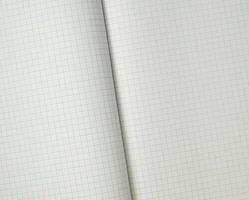 texture of an open school notebook in a cell, full frame photo