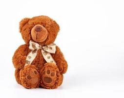 brown teddy bear with a bow on his neck, white background photo