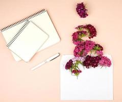 open notebook with blank sheets and Turkish carnation Dianthus barbatus flower