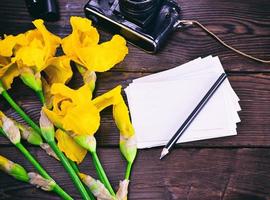 paper postcard and bouquet of yellow irises photo