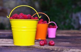 Ripe red raspberries in iron buckets