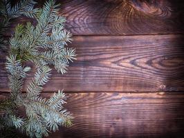 green spruce branch on a brown wooden background photo