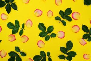 Abstract yellow background with yellow petals photo