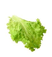 green lettuce leaf isolated on white background photo