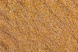 Yellow millet background. The view from top photo