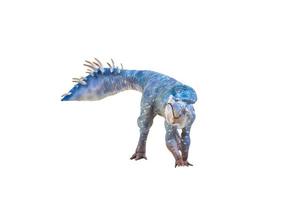 Protoceratops  , dinosaur on  isolated background photo