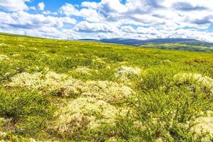 Beautiful mountain and landscape nature panorama Rondane National Park Norway. photo