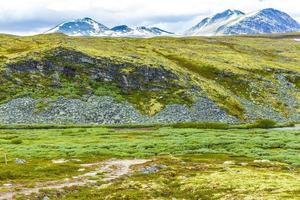 hermosa montaña y paisaje naturaleza panorama rondane parque nacional noruega. foto