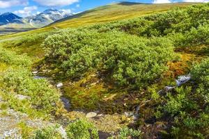 hermosa montaña y paisaje naturaleza panorama rondane parque nacional noruega. foto