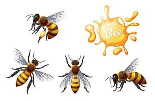 Set of honey bees. Flying and crawling insects. Suitable for the design of stickers, websites, prints, etc. vector