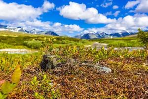 hermosa montaña y paisaje naturaleza panorama rondane parque nacional noruega. foto