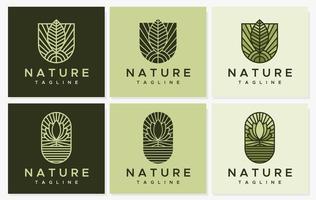 Leaf line logo design template collection. Simple line plant logo vector bundle.