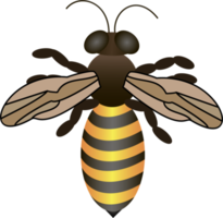 abeja en la naturaleza natural png