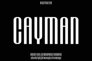 Unique condensed display font vector