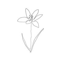 flor abstracta dibujada a mano en una línea continua. estilo minimalista. elemento de diseño floral vector