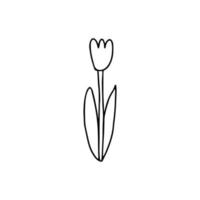 A tulip in doodle style. Isolated outline. Single picture for logo design, greeting cards and coloring books. Hand drawn vector illustration in black ink on white background.