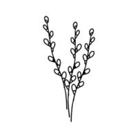 Three willow twigs in doodle style. Great for Easter greeting cards, logo. Hand drawn vector illustration in black ink. Isolated outline.