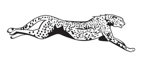 savanna animal illustration vector