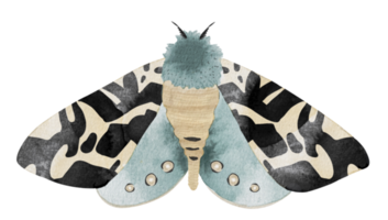 blauer nachtschmetterling, mottenaquarellillustration. png