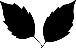 vector illustration of leaf shape