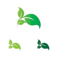 leaf logo and symbol vector