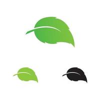 leaf logo and symbol vector