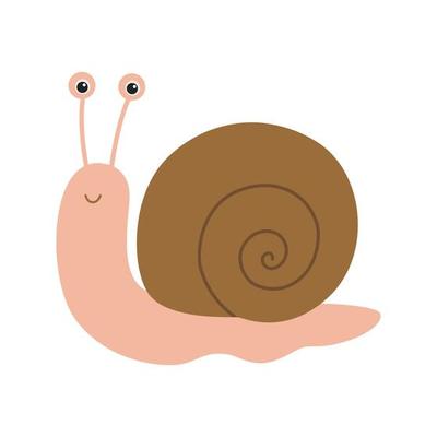 Cute snail illustration