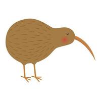 bird kiwi illustration vector