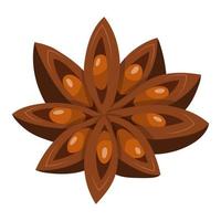 Star anise, spices. vector illustration on a white background.