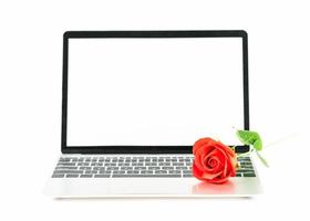 Red rose on laptop on white photo