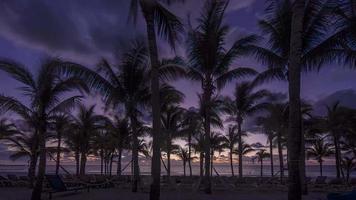 Zeitrafferfilm eines Sonnenaufgangs an einem tropischen Strand mit Palmen im Sommer video