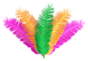 plumes colorées de carnaval 3d png