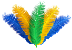 carnaval colorido plumas 3d png