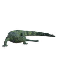 dieren in het wild krokodil geïsoleerd 3d geven png