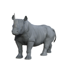 rendu 3d isolé de rhinocéros png