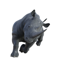 rinoceronte, aislado, 3d, render png