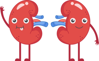 Kidney of human . Cartoon characters . png