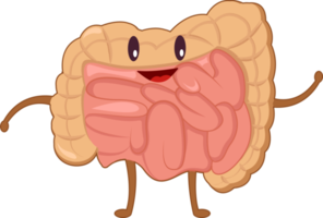 Intestine of human . Cartoon characters . png