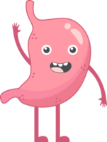 Stomach of human . Cartoon characters . png