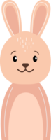 Kaninchen-Cartoon-Figur png