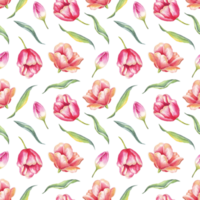 waterverf tulpen. naadloos patroon png