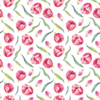 Watercolor tulips. Seamless pattern png