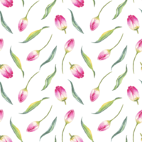 Watercolor tulips. Seamless pattern png