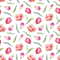 Watercolor tulips. Seamless pattern png