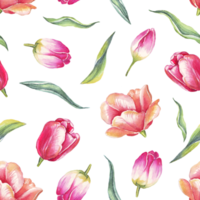 tulipas em aquarela. padrão sem costura png