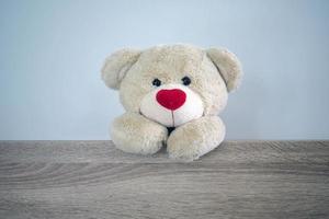 Background for kids play Teddy bear. Brown hair teddy bear standing behind the wood. Children's play concept photo
